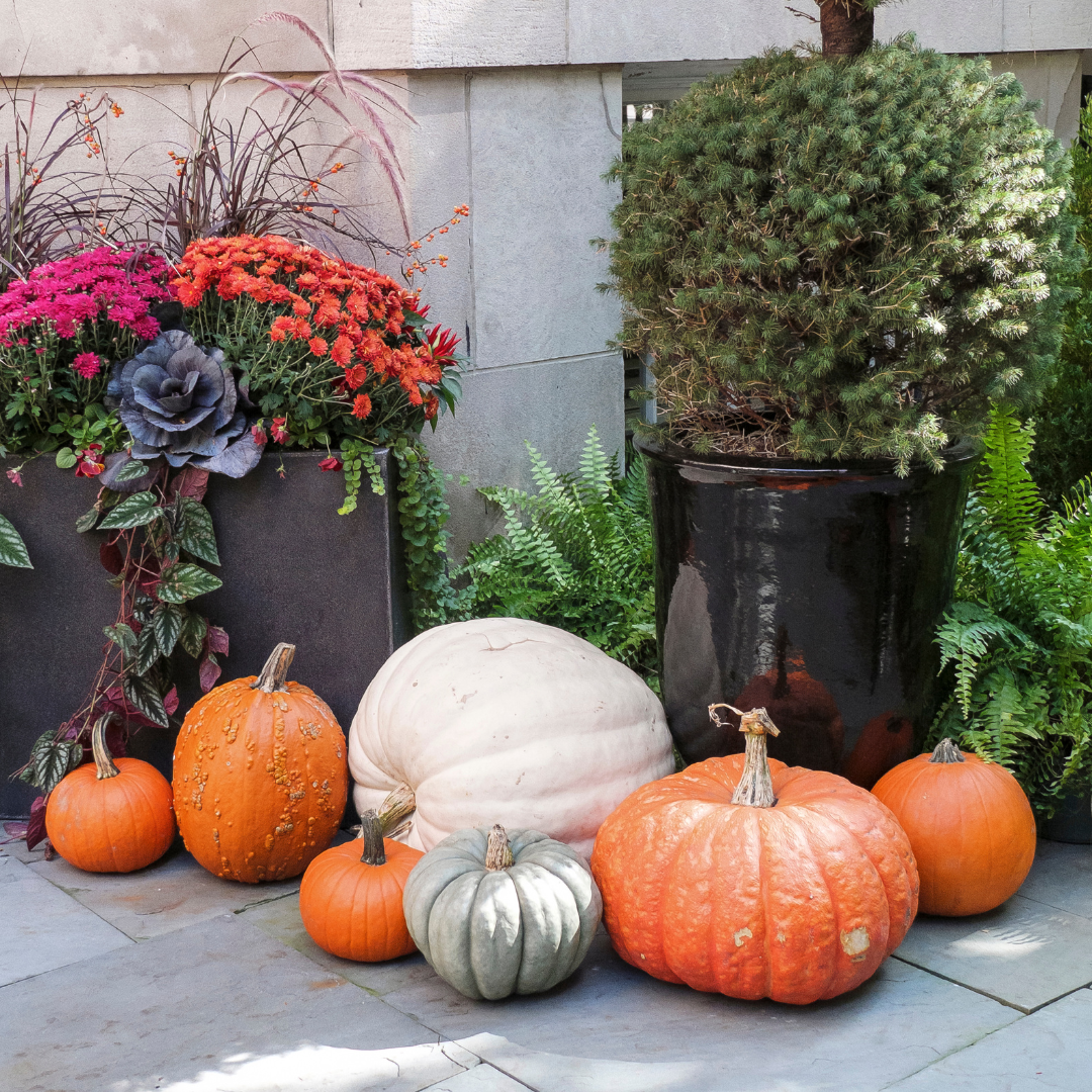 Seasonal Decor