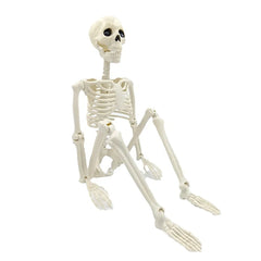 40cm Posable Human Skeleton Halloween Decoration