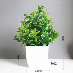 Artificial Eucalyptus Bonsai Potted Plant – Indoor & Outdoor Decor