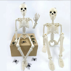40cm Posable Human Skeleton Halloween Decoration