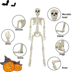40cm Posable Human Skeleton Halloween Decoration