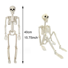 40cm Posable Human Skeleton Halloween Decoration