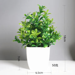 Artificial Eucalyptus Bonsai Potted Plant – Indoor & Outdoor Decor