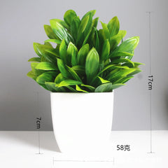 Artificial Eucalyptus Bonsai Potted Plant – Indoor & Outdoor Decor