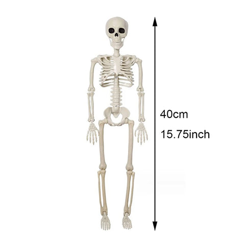 40cm Posable Human Skeleton Halloween Decoration