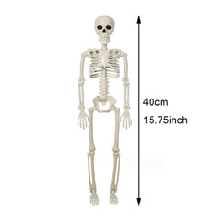 40cm Posable Human Skeleton Halloween Decoration